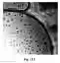 Fig. 22 - NUCLEIC ACID-CONTAINING LIPID PARTICLES AND RELATED METHODS