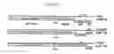 Fig. 02 - System for expression of genes in plants