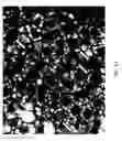 Fig. 12 - Methods and compositions for rapid plant transformation