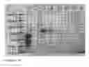 Fig. 07 - PLANT PLASTID TRANSFORMATION METHOD