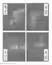 Fig. 07 - Methods and Materials for Conferring Resistance to Pests and Pathogens of Plants