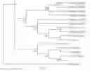Fig. 13 - Stress tolerance in plants