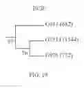 Fig. 27 - Stress tolerance in plants