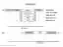Fig. 06 - Recombinant viral vectors and methods for inducing a heterosubtypic immune response to influenza A viruses