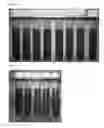 Fig. 32 - METHOD FOR INCREASING CRUDE PALM OIL YIELDS
