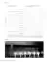 Fig. 05 - DETECTION OF ACRYLIC ACID