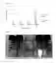 Fig. 15 - DETECTION OF ACRYLIC ACID