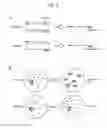 Fig. 05 - PCR-activated sorting (PAS)