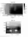Fig. 20 - PCR-activated sorting (PAS)