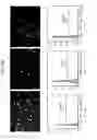 Fig. 55 - PCR-activated sorting (PAS)