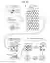 Fig. 63 - PCR-activated sorting (PAS)