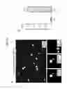 Fig. 64 - PCR-activated sorting (PAS)
