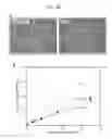 Fig. 80 - PCR-activated sorting (PAS)
