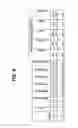 Fig. 12 - Multiplex amplification detection assay