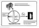 Fig. 01 - Device and methods of using device for separation of bacteria from complex samples
