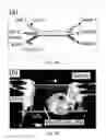 Fig. 03 - Device and methods of using device for separation of bacteria from complex samples