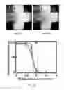 Fig. 06 - Device and methods of using device for separation of bacteria from complex samples