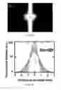 Fig. 07 - Device and methods of using device for separation of bacteria from complex samples