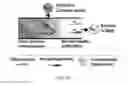 Fig. 12 - Device and methods of using device for separation of bacteria from complex samples
