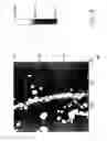 Fig. 22 - ELECTRICAL DETECTION OF A DNA OR RNA TARGET IN A SAMPLE
