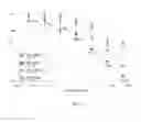 Fig. 09 - Methods and compositions for detecting polynucleotides and fragments thereof