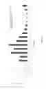 Fig. 13 - METHODS FOR NUCLEIC ACID SIZE DETECTION OF REPEAT SEQUENCES