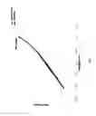 Fig. 14 - METHODS FOR NUCLEIC ACID SIZE DETECTION OF REPEAT SEQUENCES
