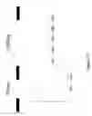 Fig. 23 - Nucleic acid sequence analysis