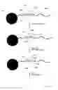 Fig. 02 - Alternative nucleotide flows in sequencing-by-synthesis methods