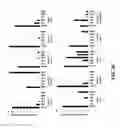Fig. 07 - Method and kit for determining the tissue or cell origin of DNA