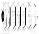 Fig. 05 - Assay systems for genetic analysis