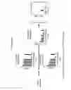 Fig. 111 - INTERFERON ALPHA-INDUCED PHARMACODYNAMIC MARKERS AND USES THEREOF