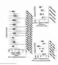 Fig. 45 - INTERFERON ALPHA-INDUCED PHARMACODYNAMIC MARKERS AND USES THEREOF