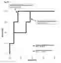 Fig. 12 - METHODS AND COMPOSITIONS FOR ASSESSING PREDICTING RESPONSIVENESS TO A TNF INHIBITOR