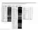 Fig. 02 - Detection and Prognosis of Lung Cancer
