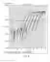 Fig. 05 - Detection and Prognosis of Lung Cancer