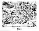 Fig. 03 - Processes for producing low nitrogen essentially nitride-free chromium and chromium plus niobium-containing nickel-based alloys and the resulting chromium and nickel-based alloys