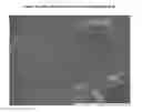 Fig. 02 - Microfibrillated cellulose