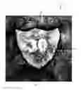 Fig. 01 - Security sheet or document having one or more enhanced watermarks