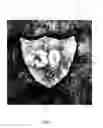 Fig. 02 - Security sheet or document having one or more enhanced watermarks