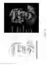 Fig. 08 - Security sheet or document having one or more enhanced watermarks