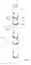 Fig. 09 - Scaffolding coupler, standard and scaffolding system