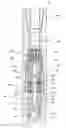 Fig. 01 - Pulsing Apparatus for Downhole Use