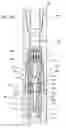 Fig. 03 - Pulsing Apparatus for Downhole Use