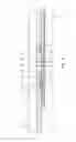 Fig. 04 - Downhole flow control device