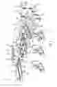 Fig. 02 - Systems and methods for adjusting production of a well using gas injection