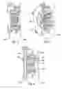 Fig. 03 - Accessory gearbox for gas turbine engine