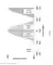 Fig. 03 - Multi-pulse injection events for a dual-fuel engine