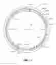 Fig. 04 - Piston, oil control ring therefor and method of construction thereof