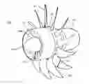 Fig. 01 - Nacelle-integrated air-driven augmentor fan for increasing propulsor bypass ratio and efficiency